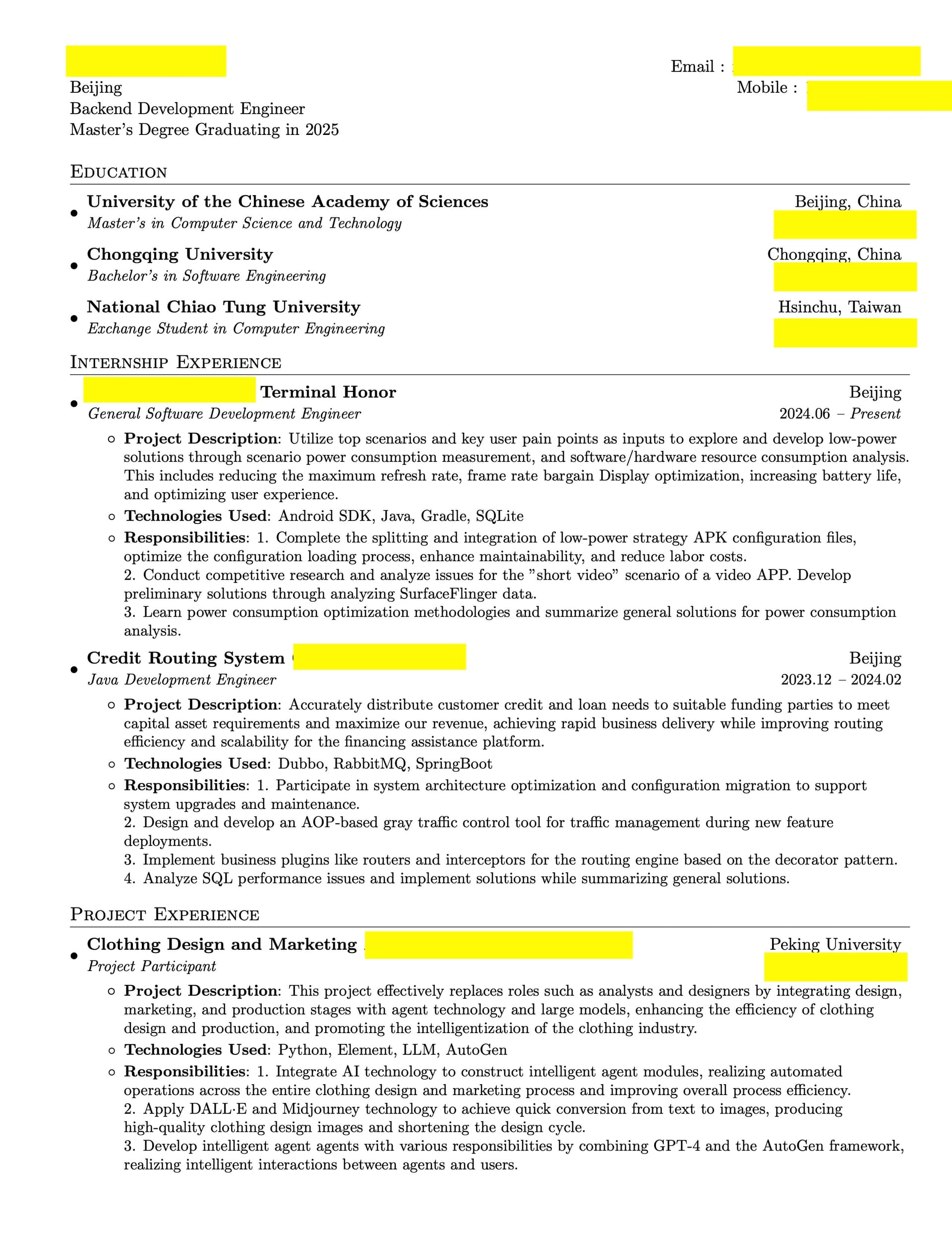 Resume example 3